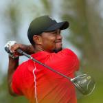 Immagine del profilo Tiger Woods