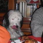 mauretto Profile Picture