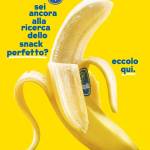 ilCasso ---- Profile Picture
