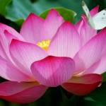 Massage Adventure Studio Privato Profile Picture